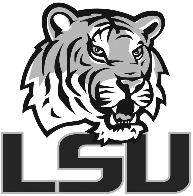 Lsu admissions essay